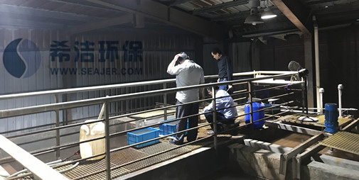 j9九游会铬废水重金属捕捉处理工艺
