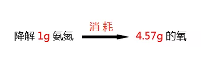 氨氮降解所需氧的比值_j9九游会环保