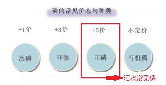 磷的价态_j9九游会环保